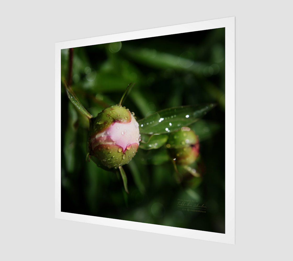 Possibilities Fine Art Print