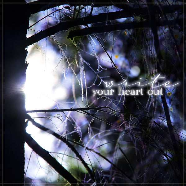 the Art of Creating Alchemy