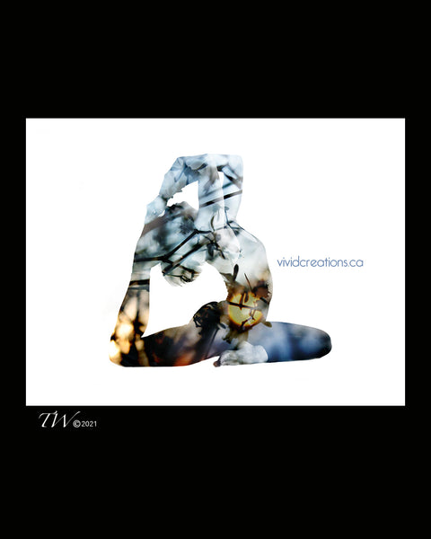 the Portals Fine Art Photography & Graphic Art Services