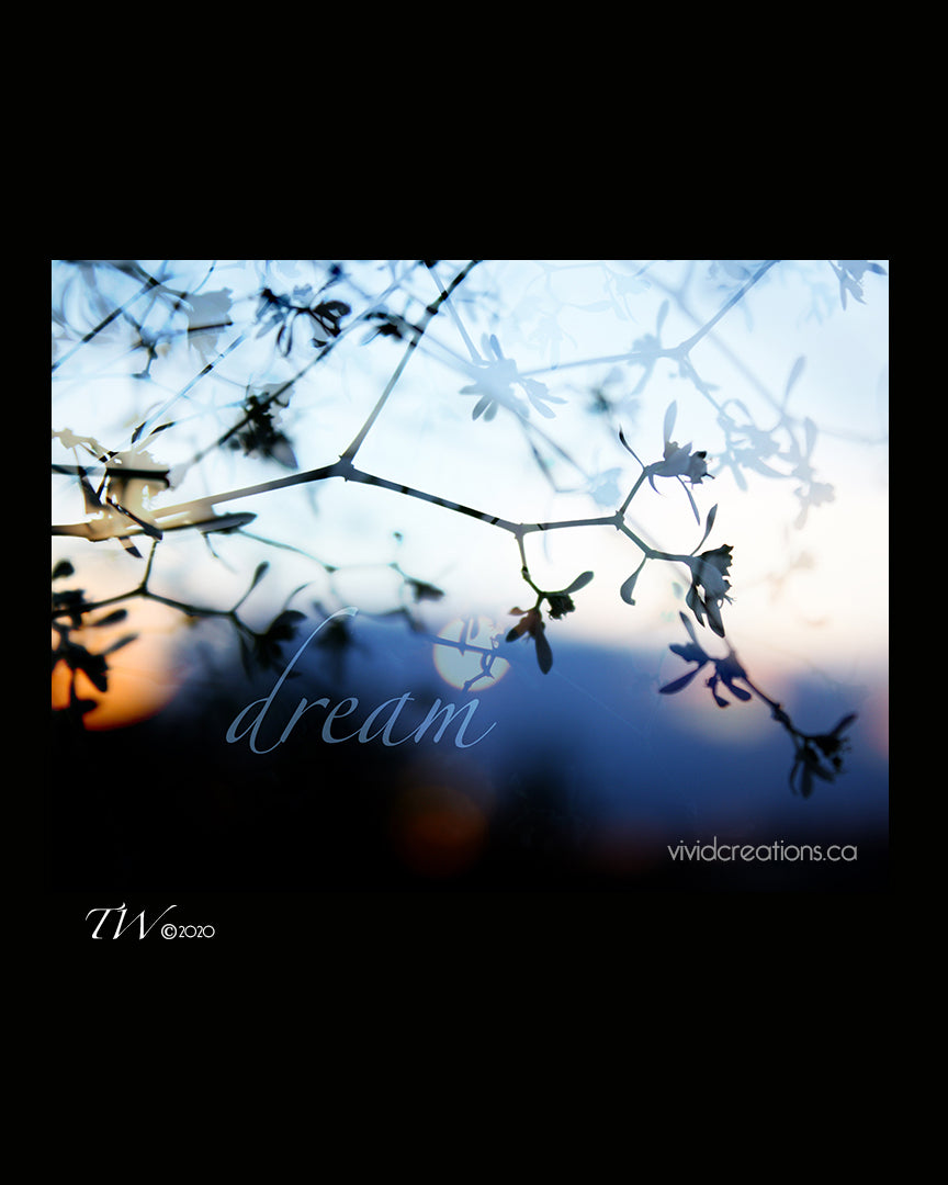 Dream Fine Art Print