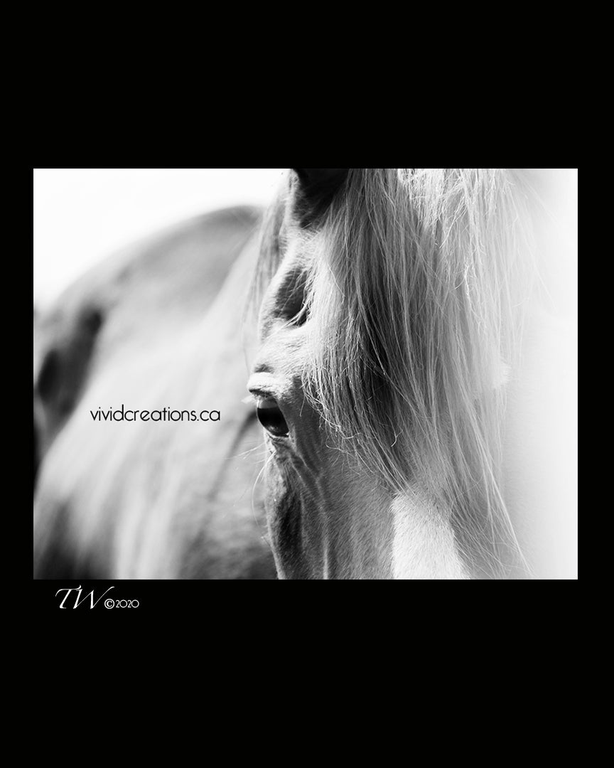 Gentle Perspective Fine Art Print