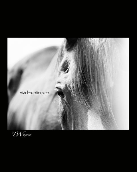 the Portals Fine Art Photography & Graphic Art Services