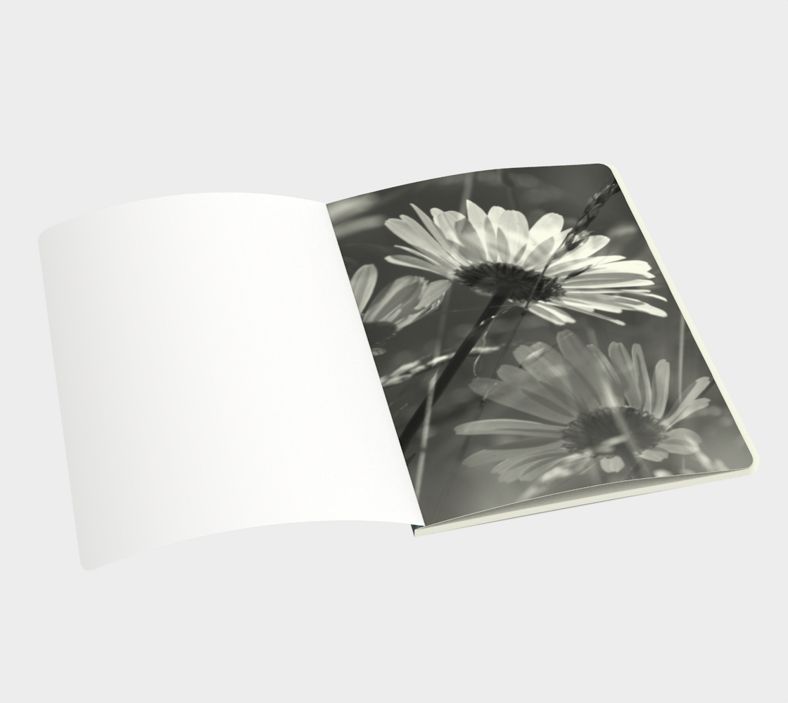 Daisy Field Journal