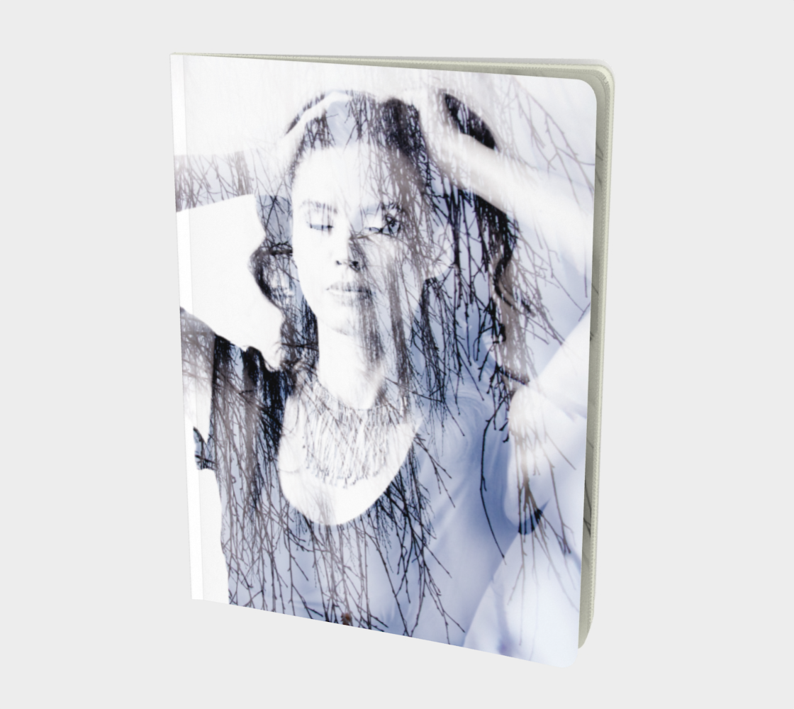 Winter Willow Journal