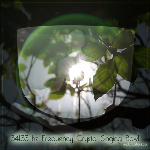 341.33 hz Frequency Crystal Singing Bowl 11" F4 (for 432 hz Tuned set) Heart Center Bowl