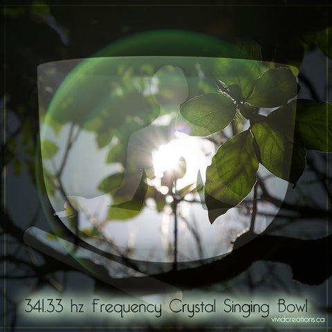 341.33 hz Frequency Crystal Singing Bowl 11" F4 (for 432 hz Tuned set) Heart Center Bowl