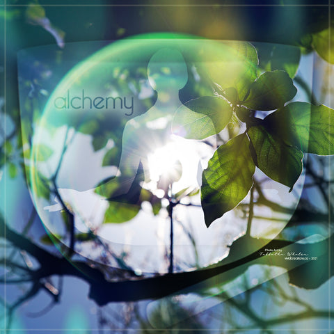 the Art of Creating Alchemy