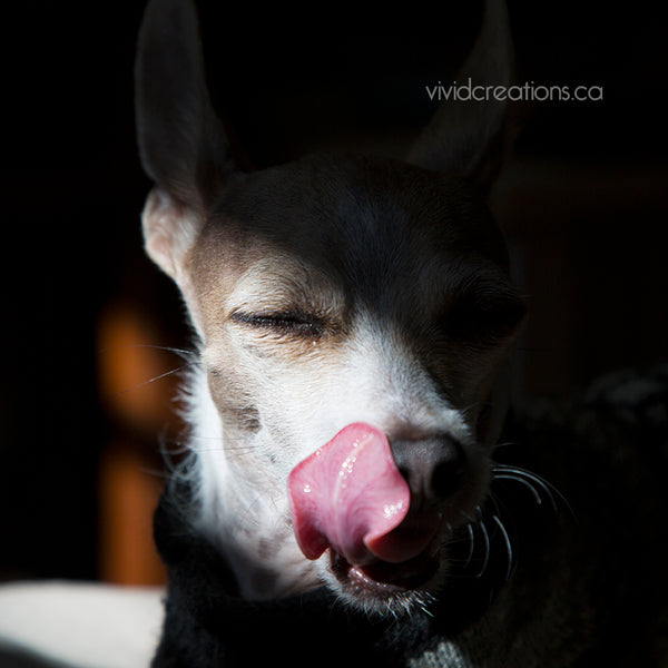 the Portals Fine Art Photography & Graphic Art Services