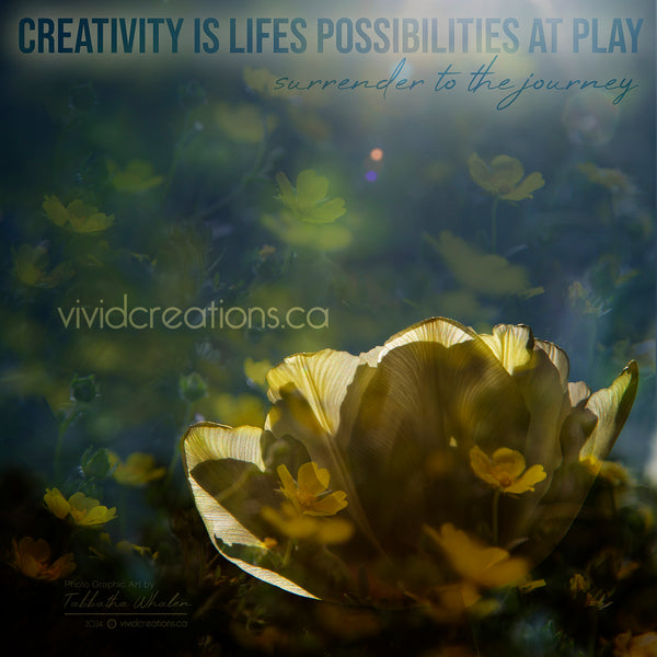 learn the Art of Creative Alchemy