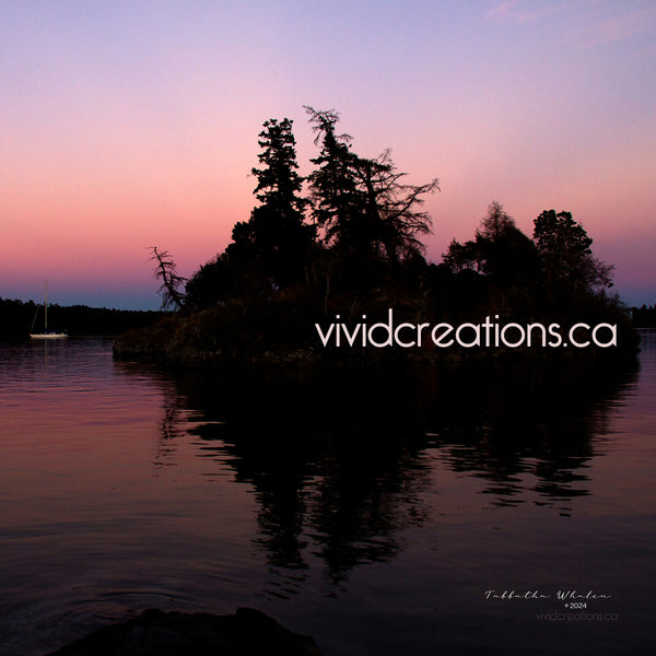 Vivid Creations Gift Card